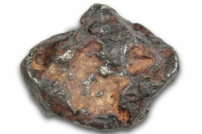 Canyon Diablo Iron Meteorite ( g) - Arizona #258354